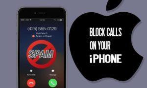 Spam call blocking on iPhone, scam prevention tips, The Leaker.