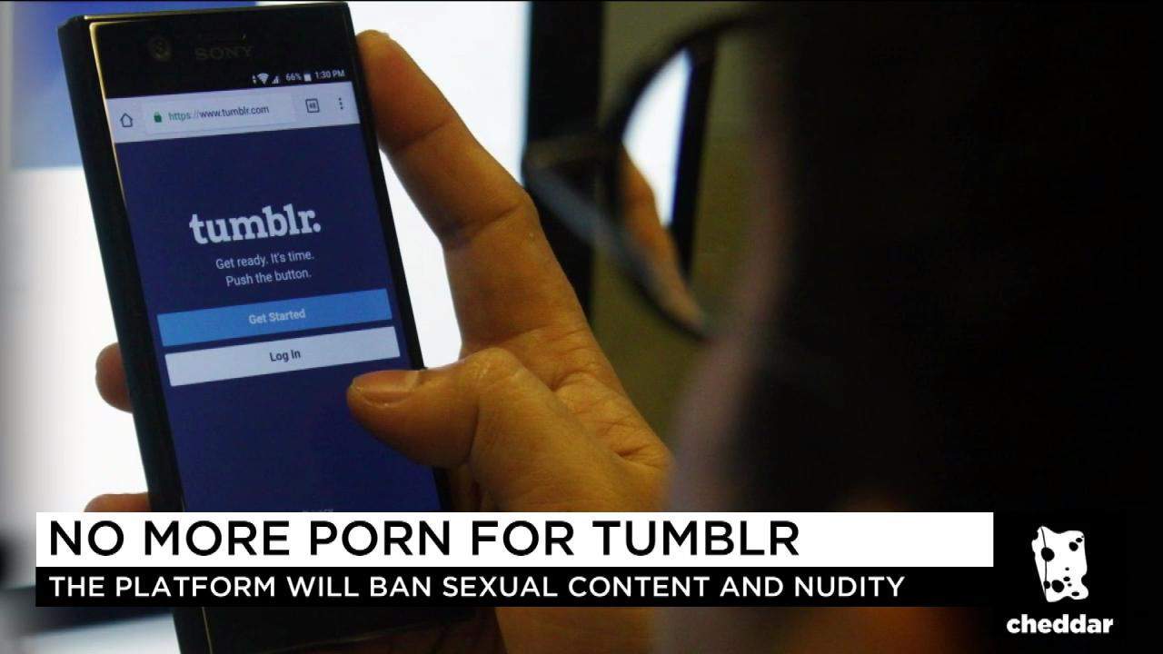 Tumblr Alternative