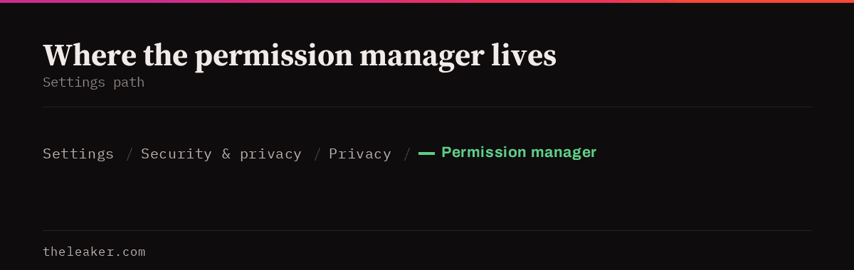 Settings path to the permission manager: Settings, Security and privacy, Privacy, Permission manager